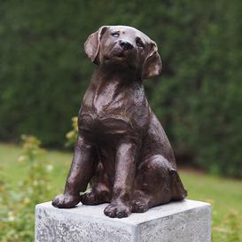 Sitzender Labrador Welpe aus Bronze - dunkelbraun - Hund...