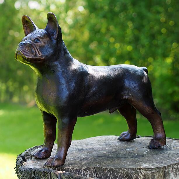 Stehende Bulldogge aus Bronzeguss in Lebensgröße - Bulldogge Feo