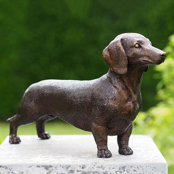 Stehende Hundestatue aus Bronze lebensgroß - Dachshund Fredo