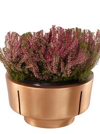 Schlichte klassische Pflanzschale - Milos / Bronze / 20,5cm (H�he)