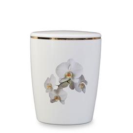 Spezielle �kourne mit Orchidee preiswert kaufen - Orchidee